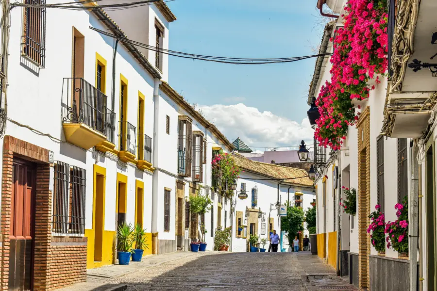 Alex c1db0vufd y unsplash