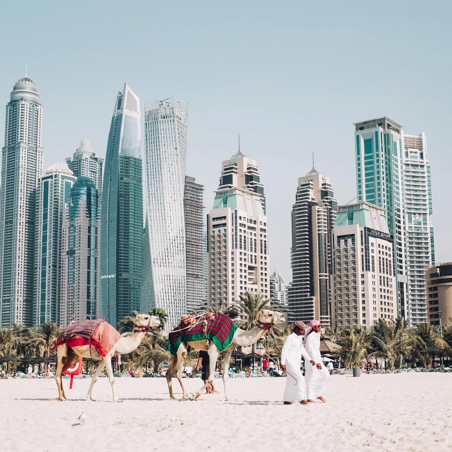Fredrik ohlander fcw1hwq2nq0 unsplash