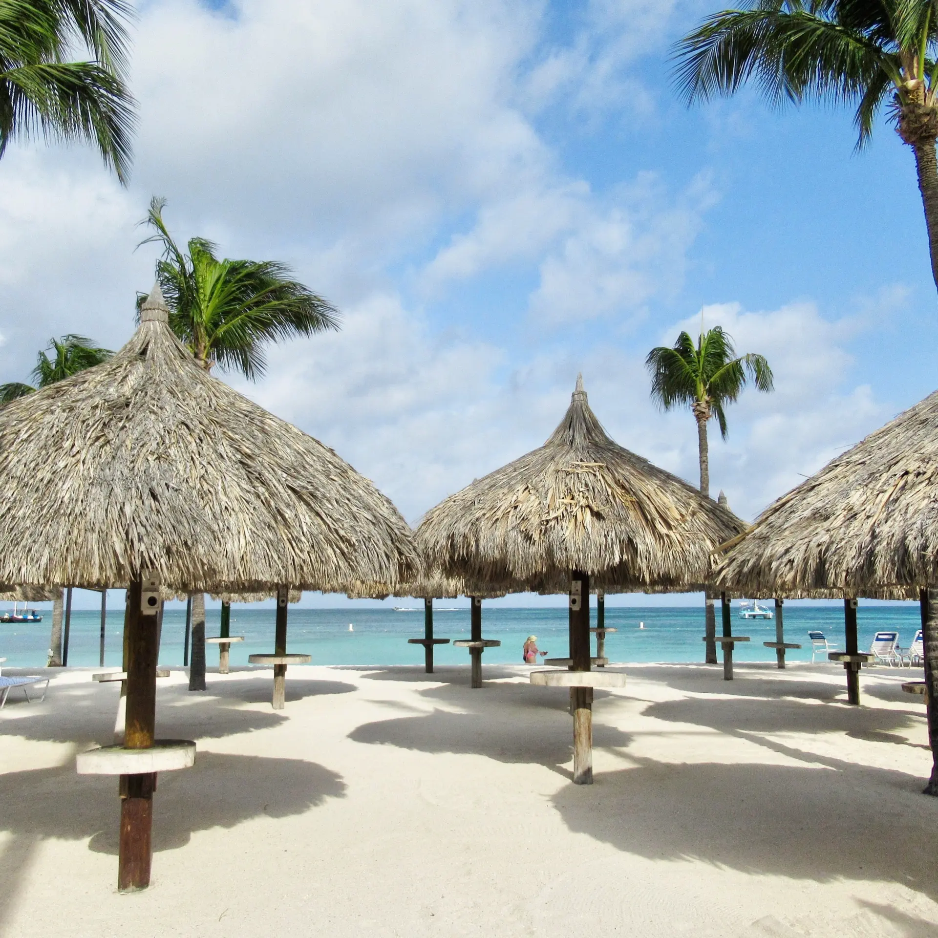 Palm beach