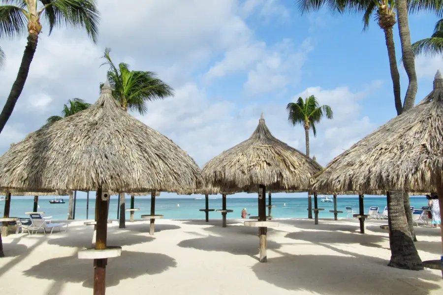 Palm beach