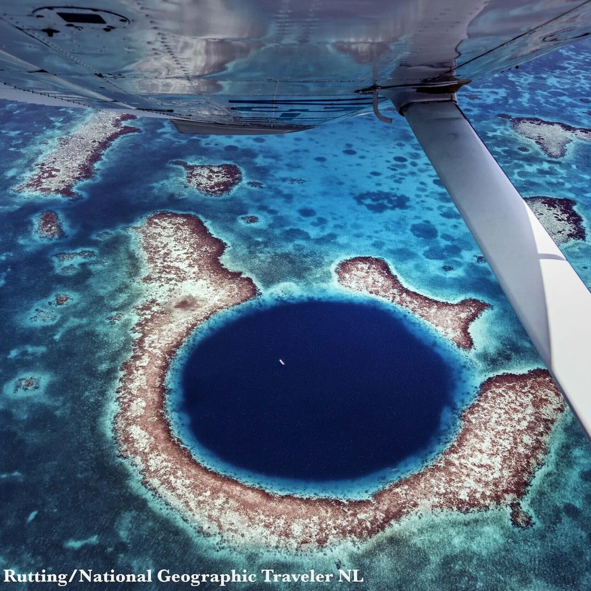 Belize raymnd rutting