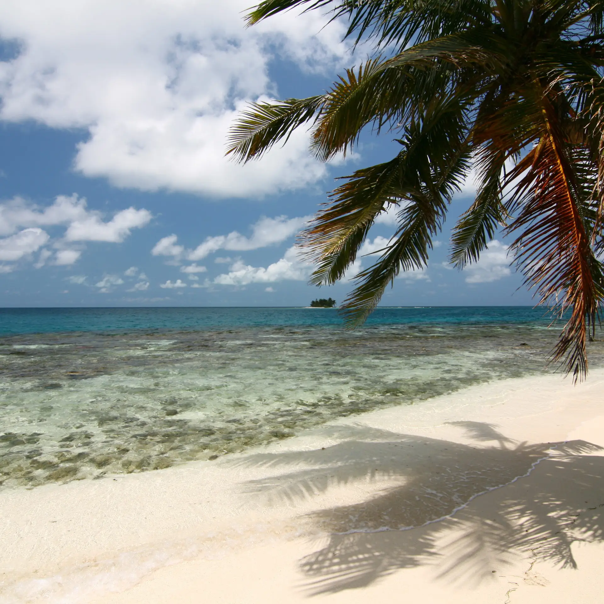 Silk caye stann creek belize 2