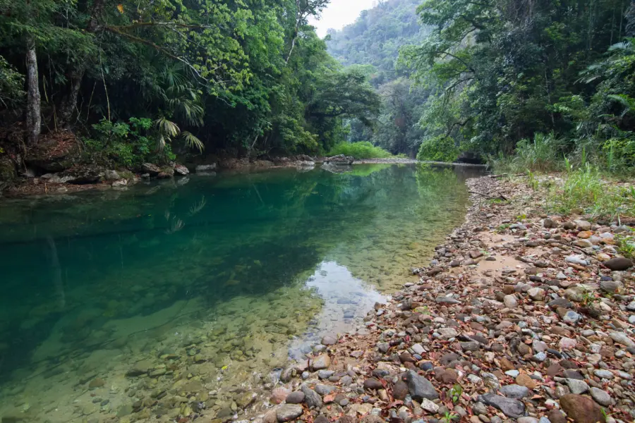 Bladen river in bladen nature reserve toledo