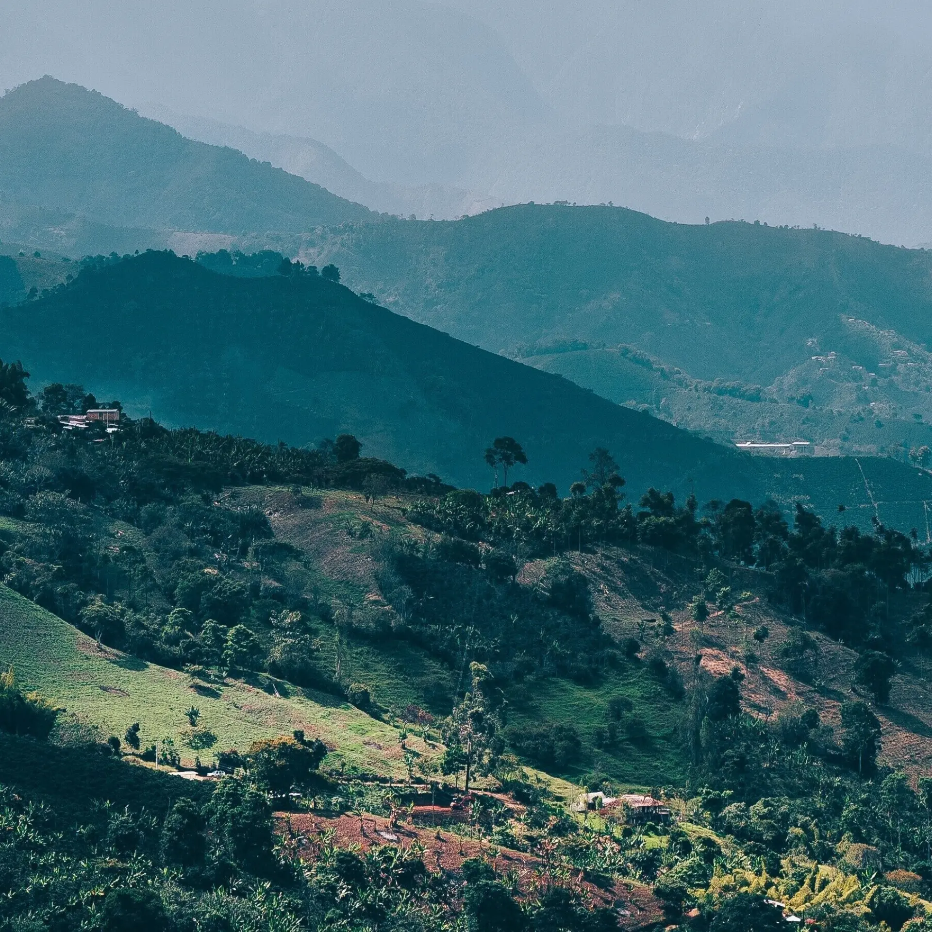 Juan nino 7wlr0stsb6e unsplash