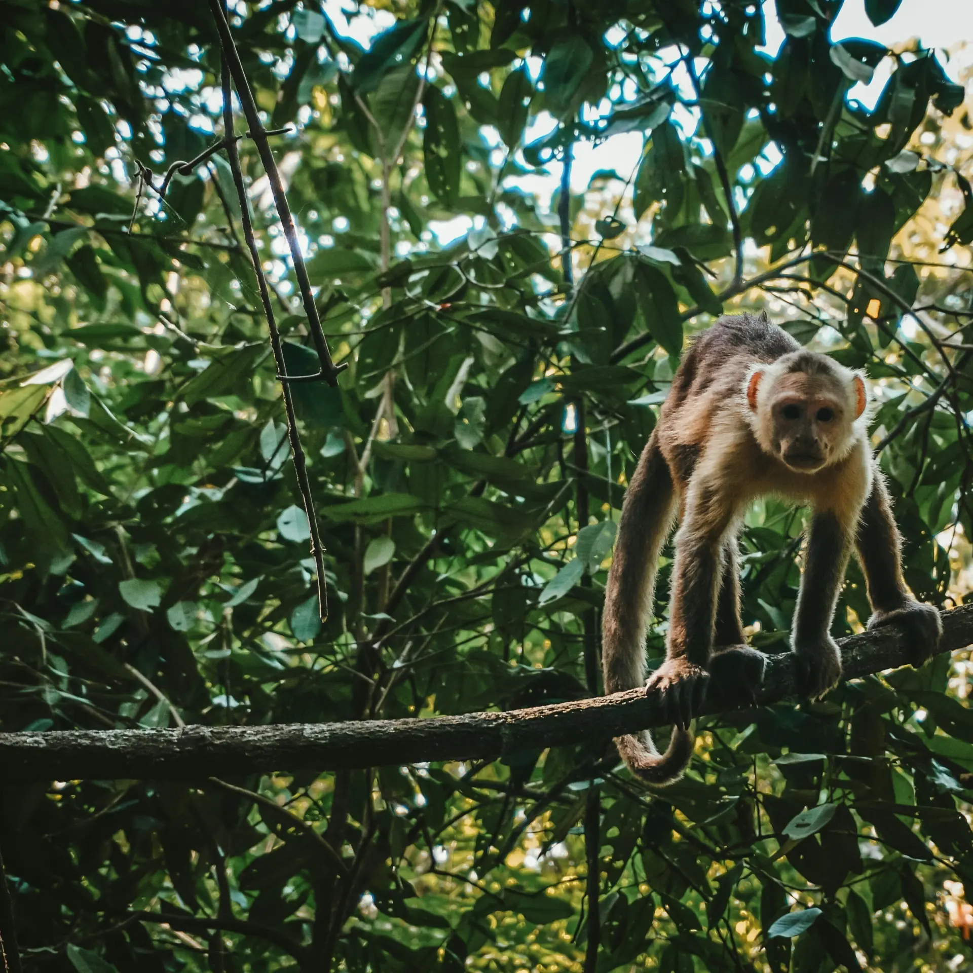 Berend leupen hbhkeb5m2xe unsplash