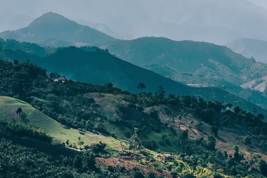 Juan nino 7wlr0stsb6e unsplash