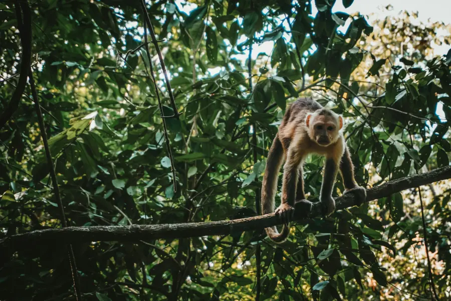 Berend leupen hbhkeb5m2xe unsplash