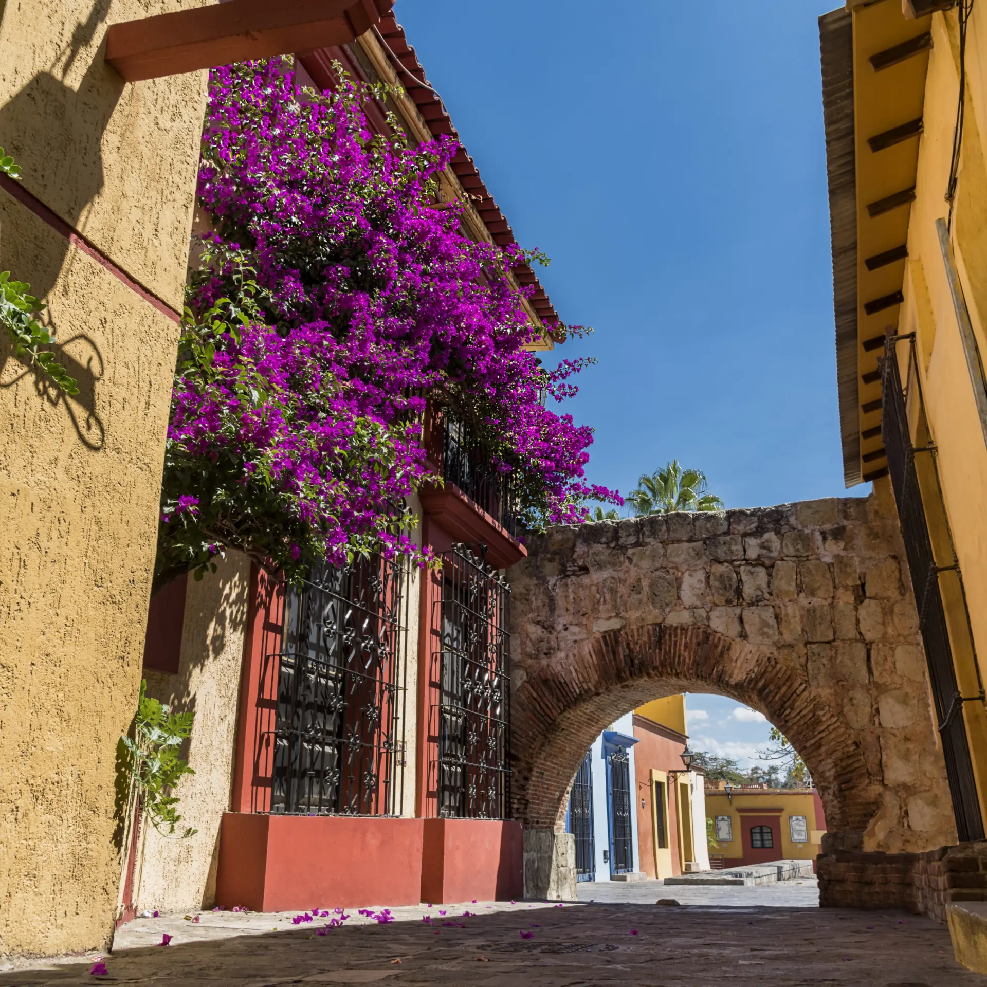 Oaxaca 2