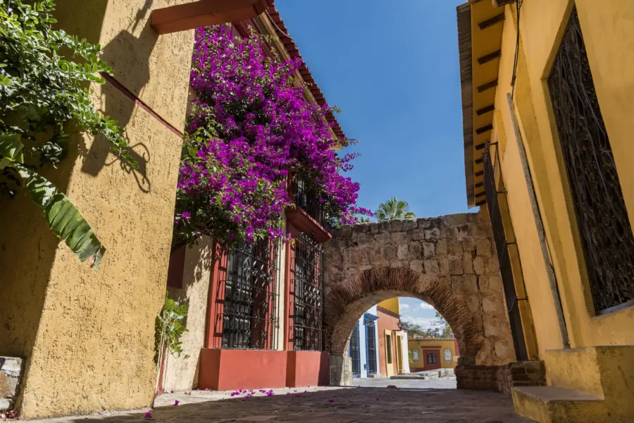Oaxaca 2