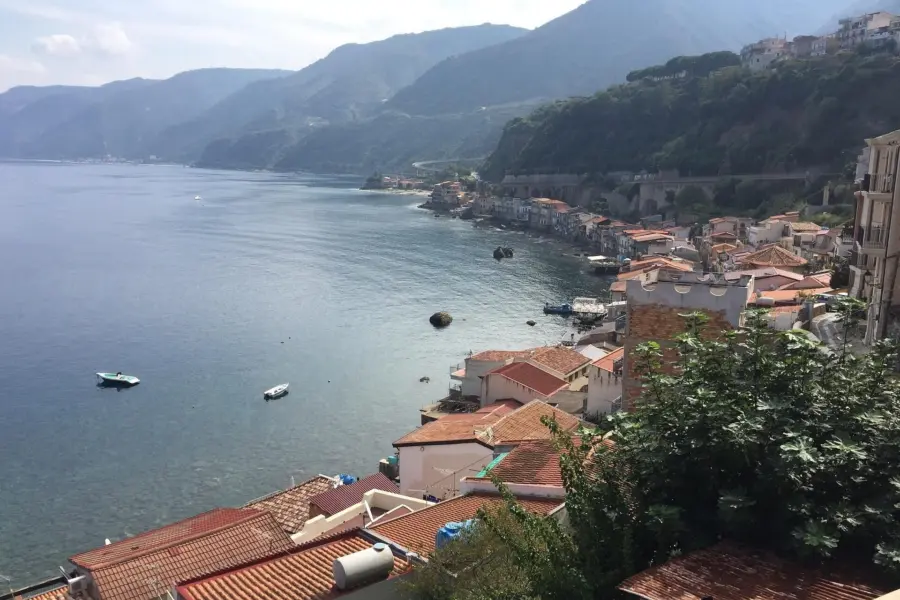 Scilla 20052731920