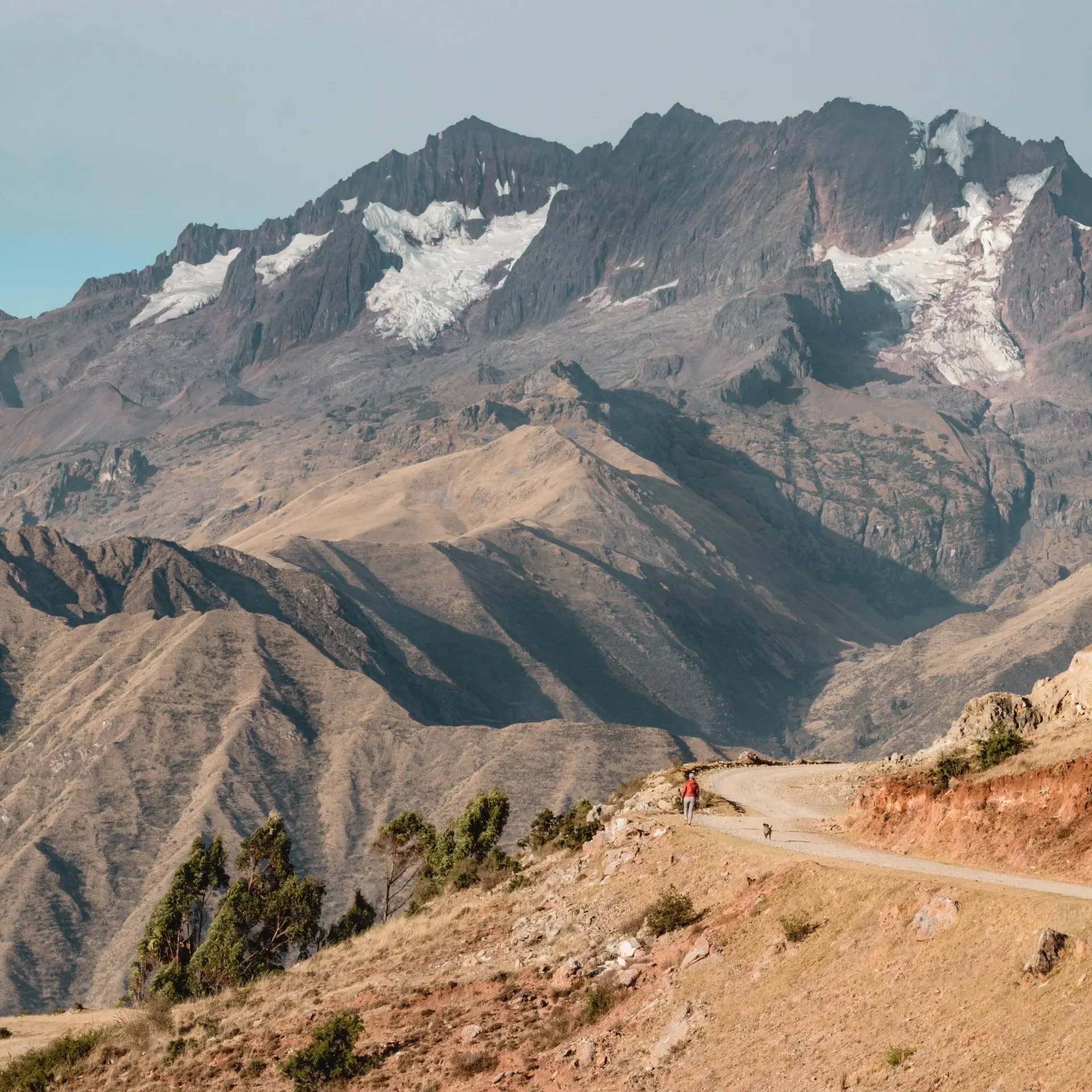 Andy salazar ca6sibf0fn8 unsplash
