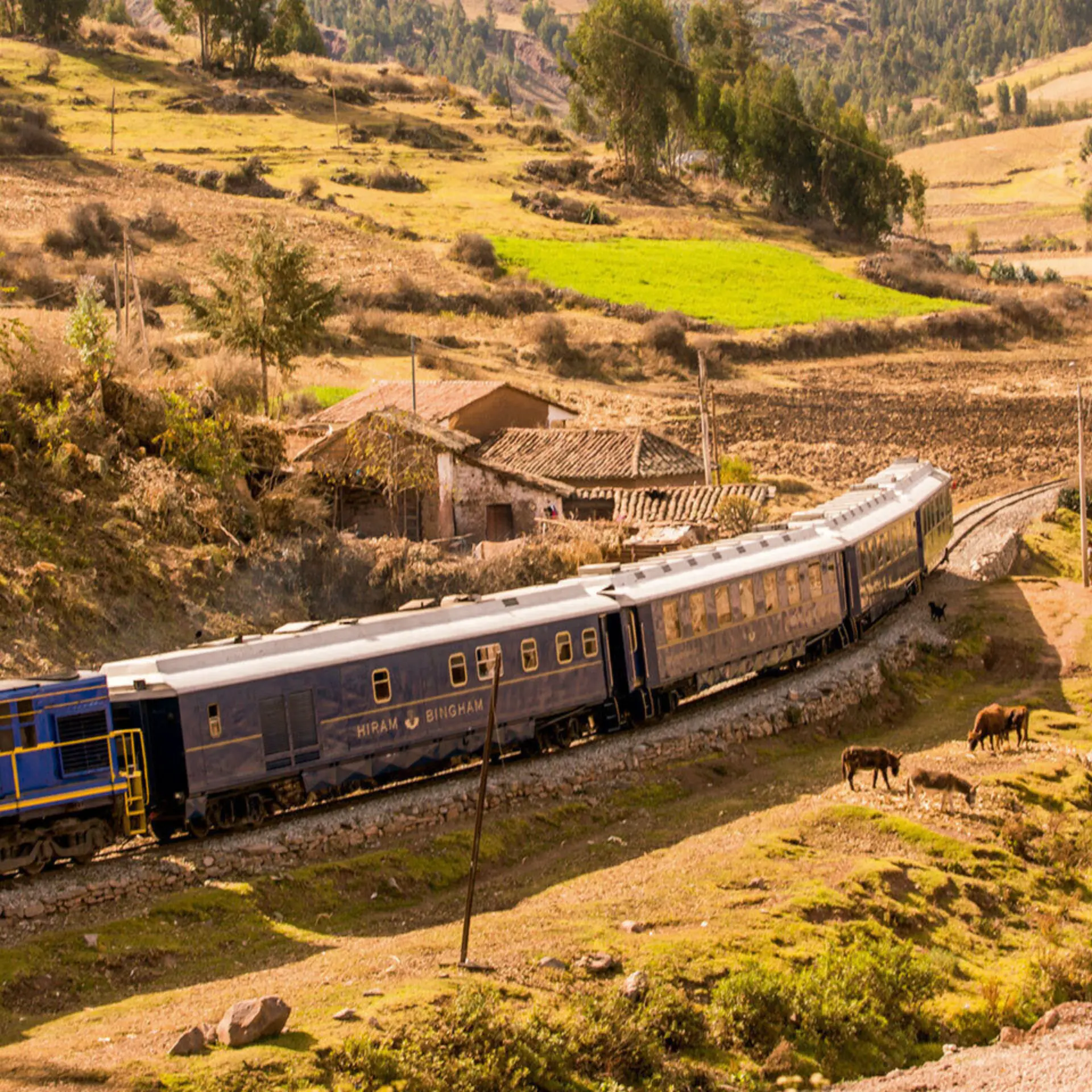 Hrb peru ext 009211