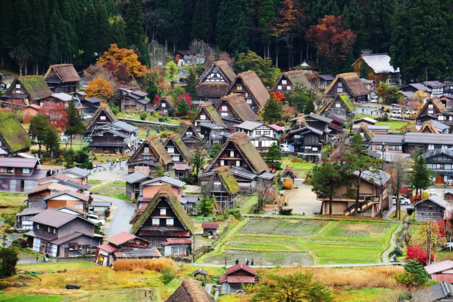 Ellenchan japan 3205106