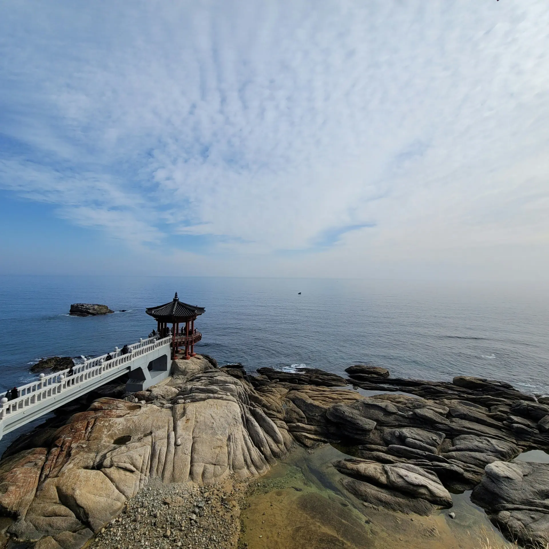 Peter kang qfjiz6ffw0e unsplash