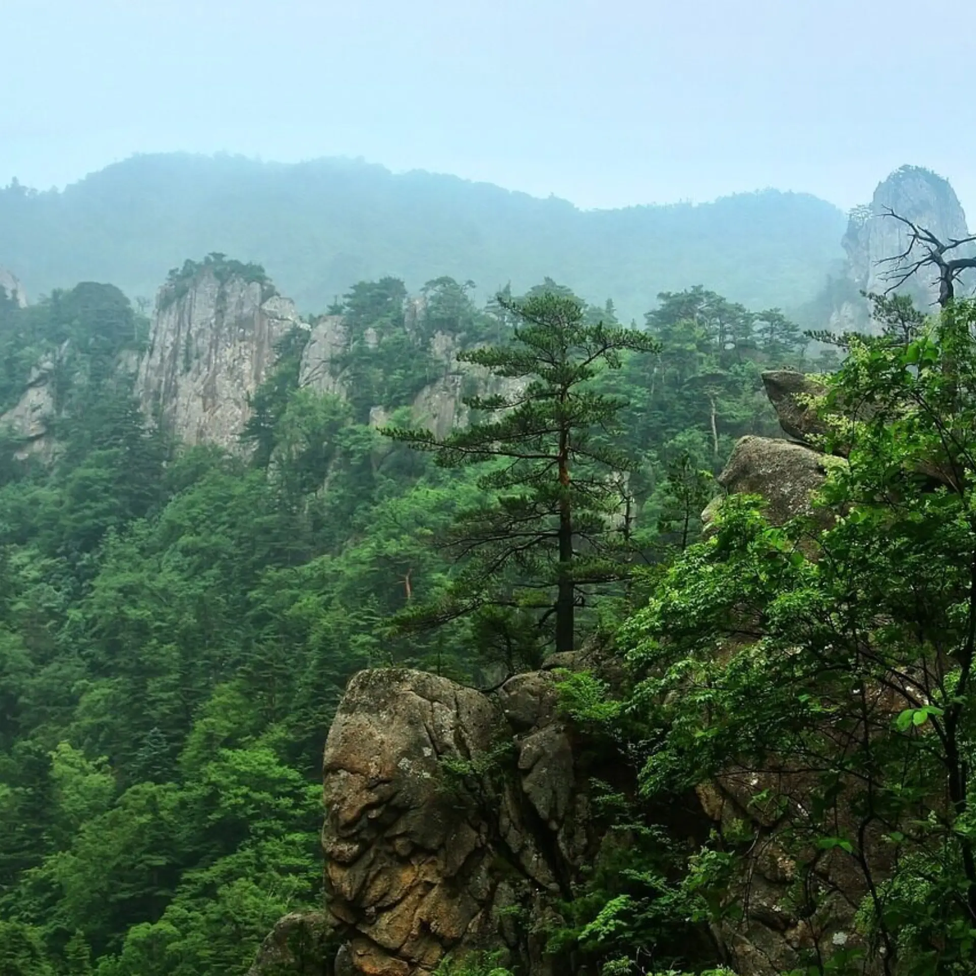 1765364489445seorak 49150091280