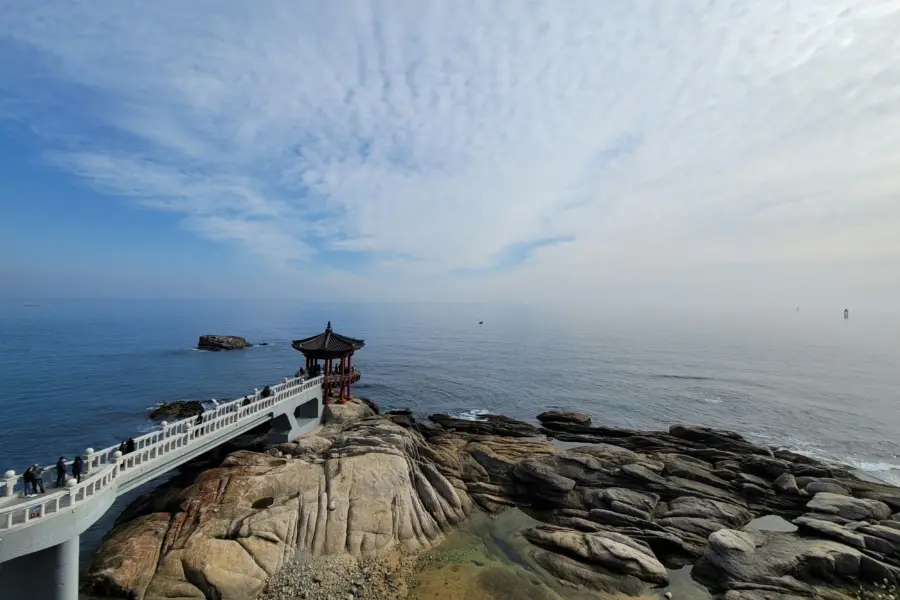 Peter kang qfjiz6ffw0e unsplash