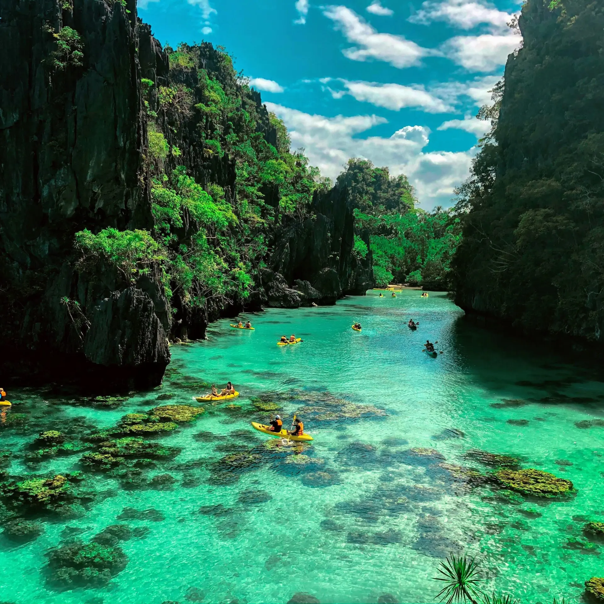 Rommel paras wr Hn E3k Mplg unsplash
