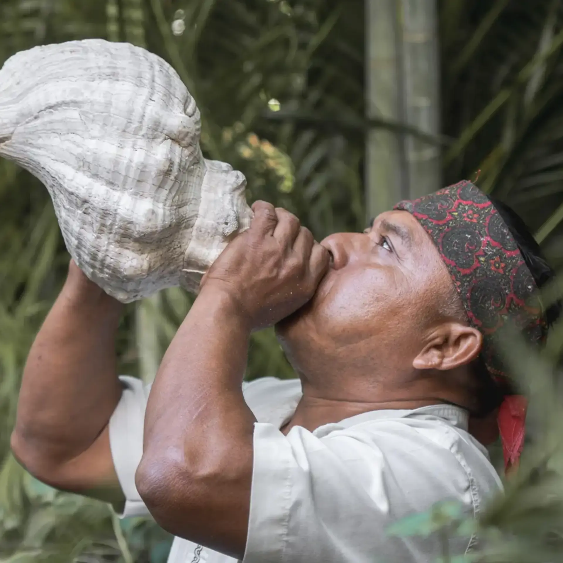 1757067541426schermafbeelding 2025 09 05 121536