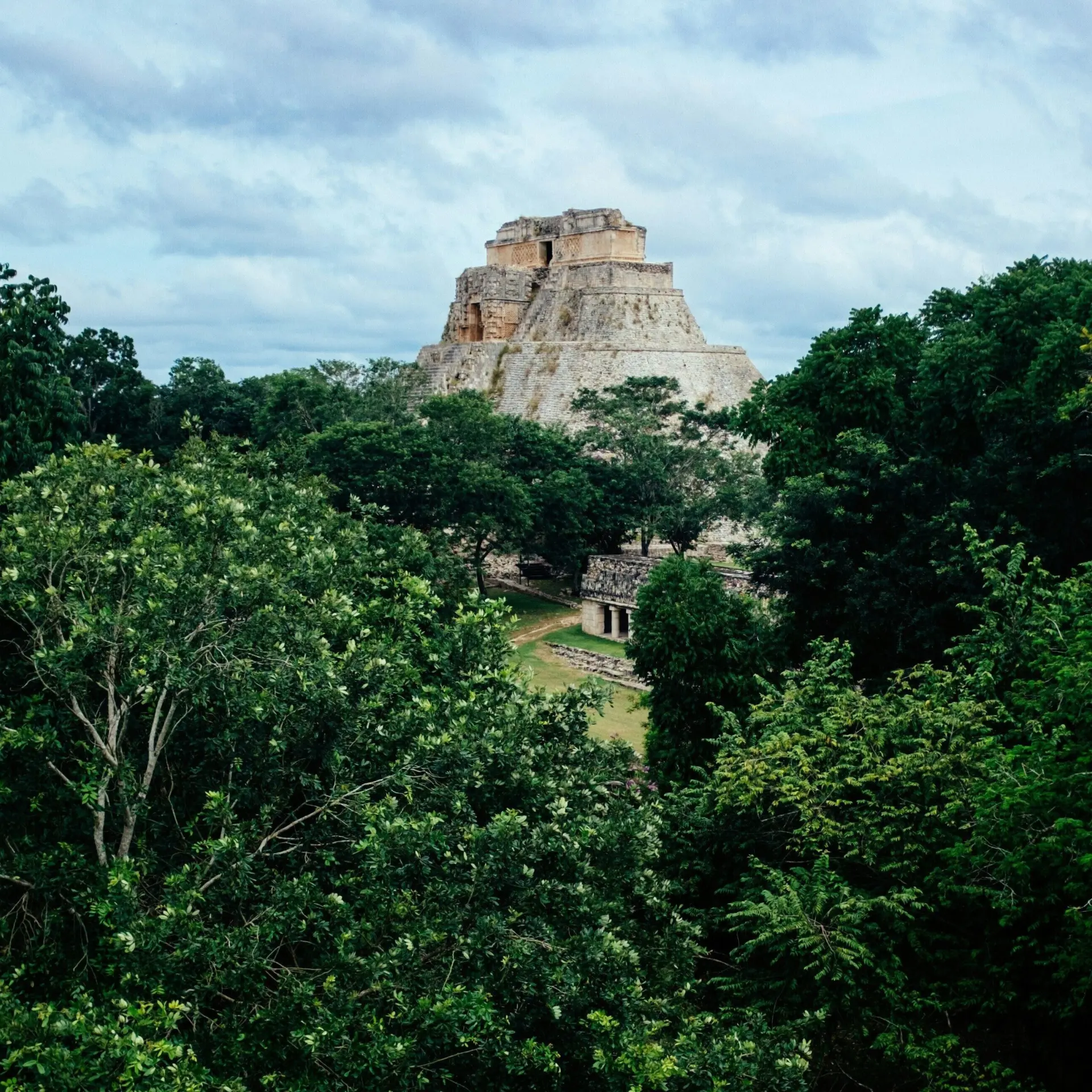 Ashim d silva 9qohmdbjok unsplash