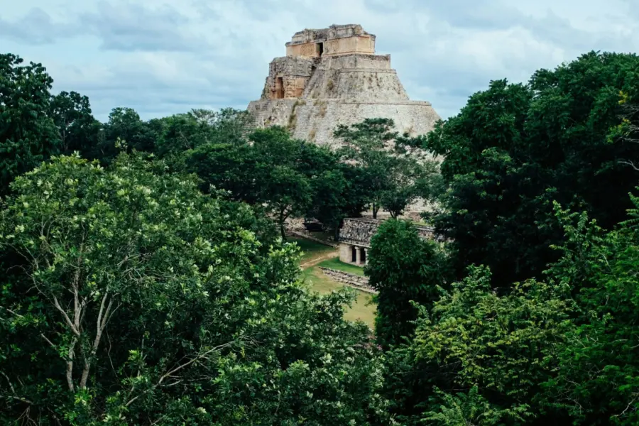 Ashim d silva 9qohmdbjok unsplash