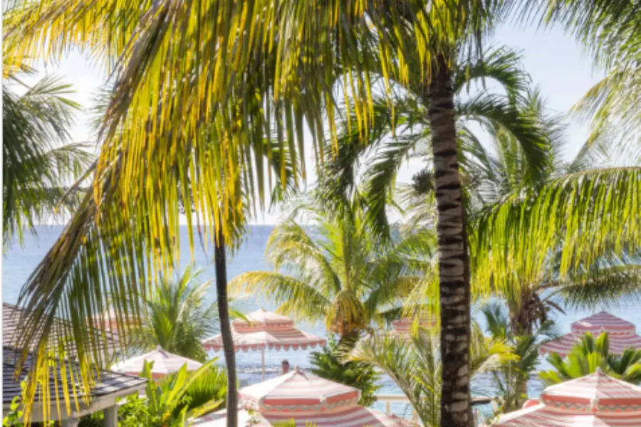 Cobblers cove beach
