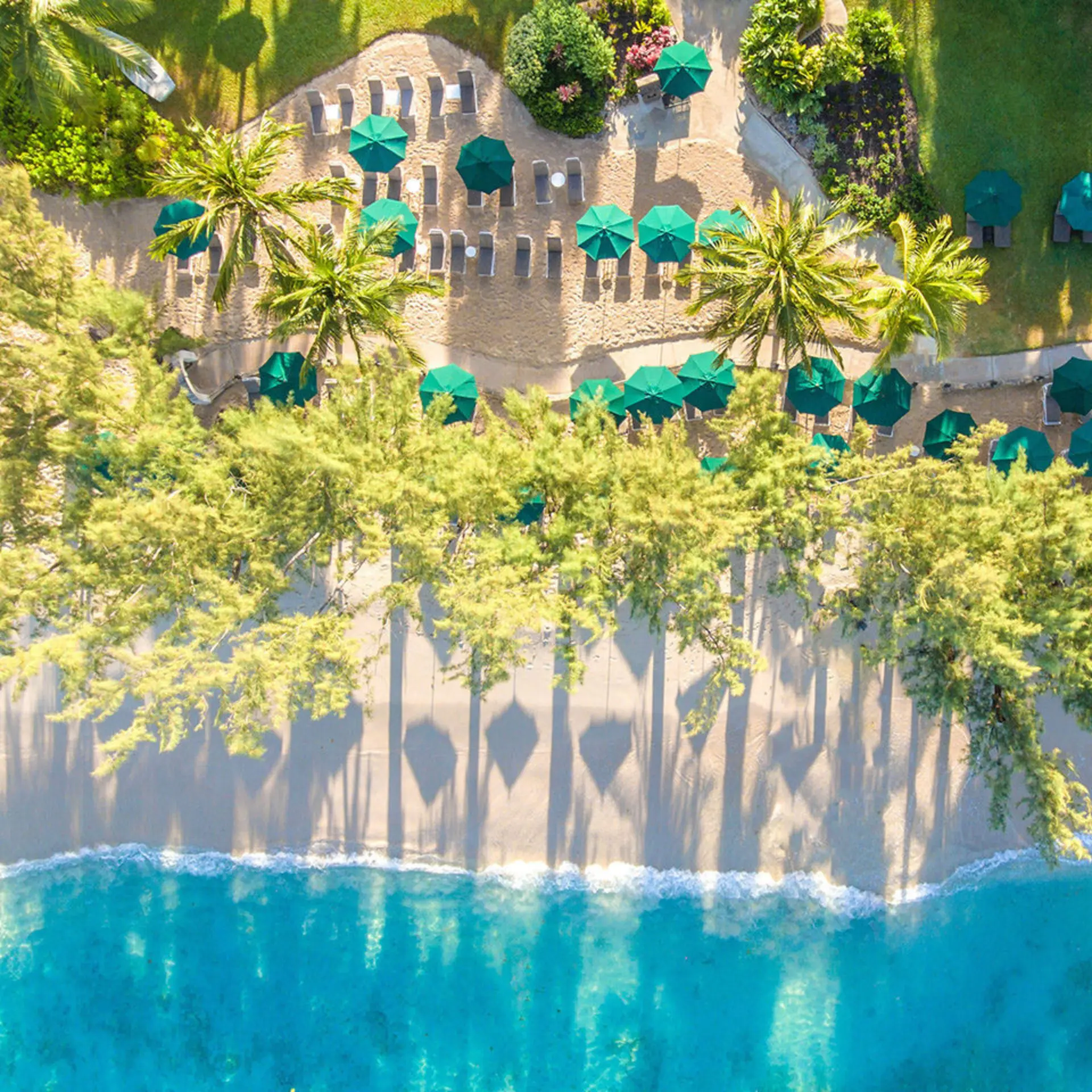 Coral reef club beach