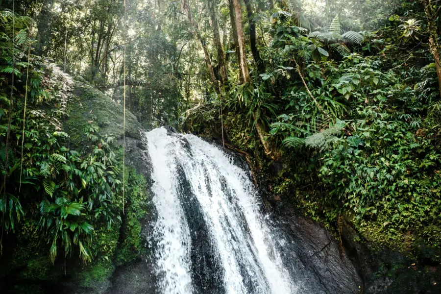Daniel oberg f G5jun4b YBQ unsplash