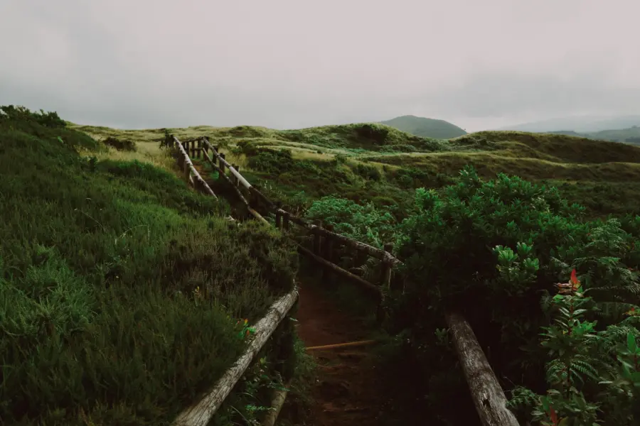 Rodrigo ramos dfuwpn euxe unsplash