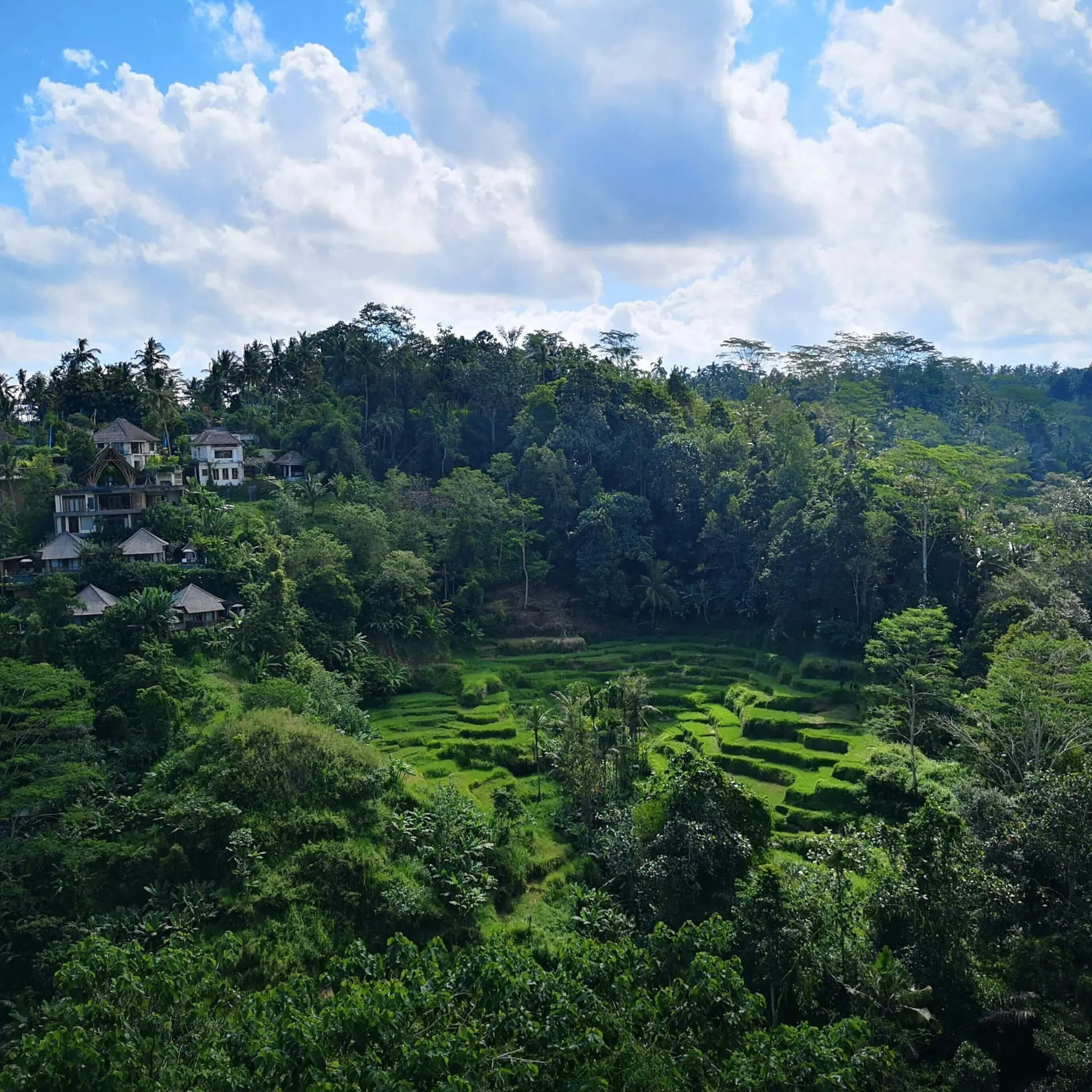 Konrad ziemlewski 1uyrmq hydo unsplash