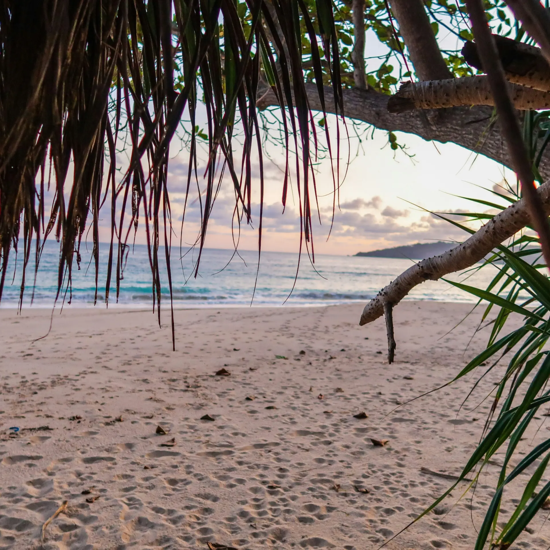 Delphine fant hcf6c1yrnp8 unsplash