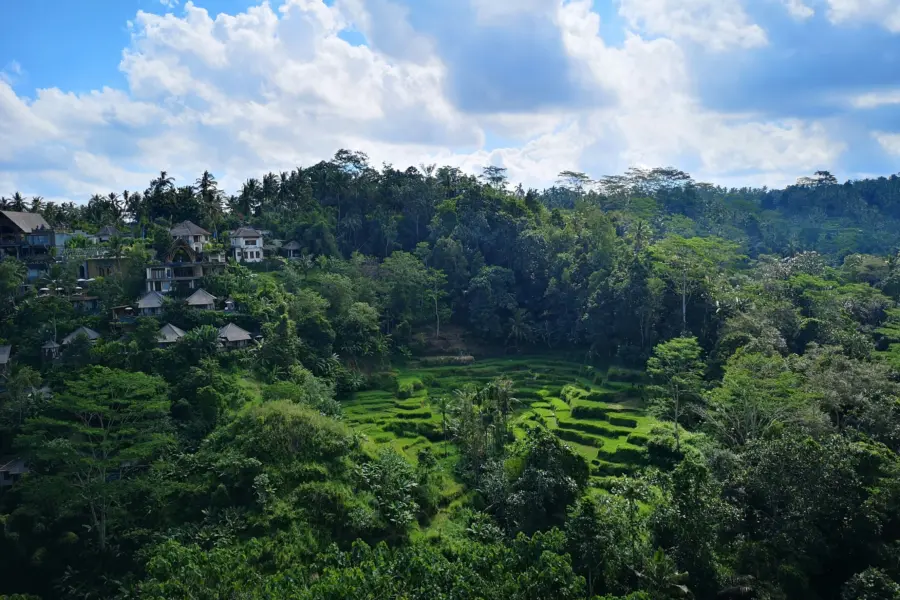 Konrad ziemlewski 1uyrmq hydo unsplash