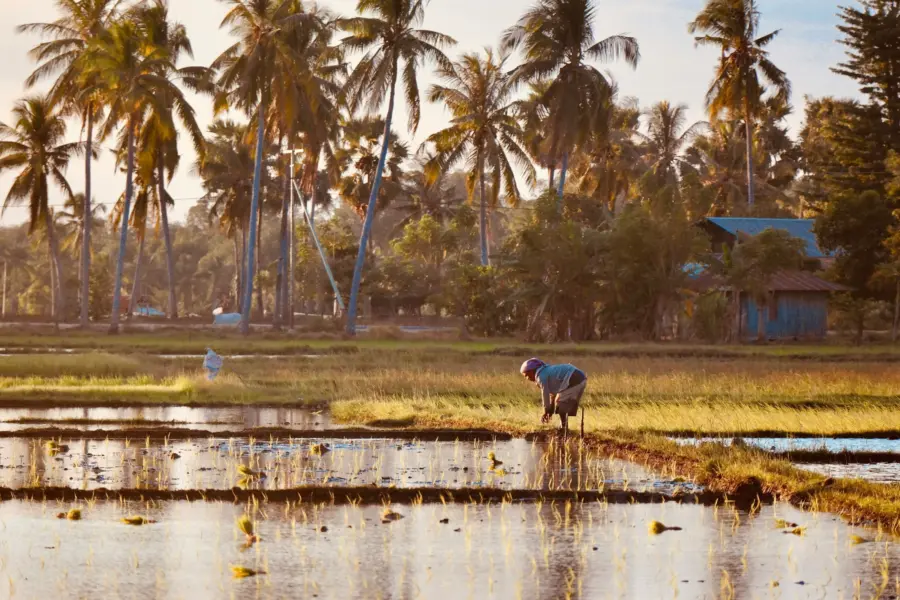 Alessio roversi 86knbcmqwti unsplash1