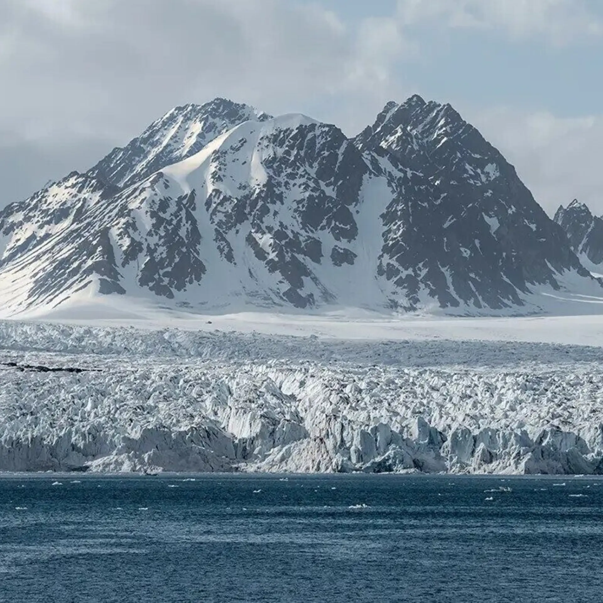 1776081922325gravnesetd png