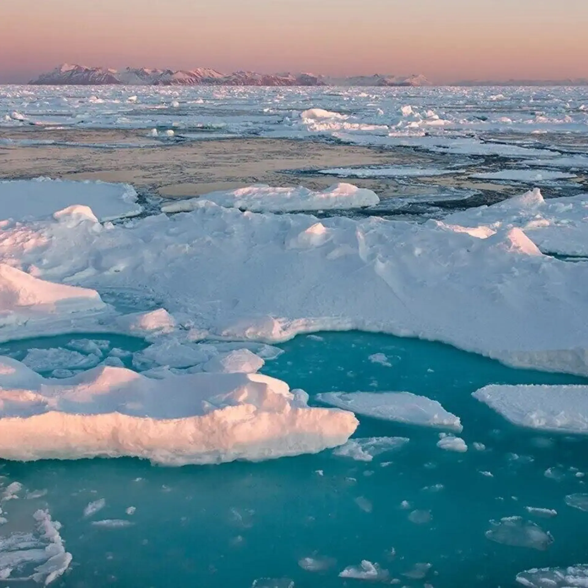 1776081871344pack iced png