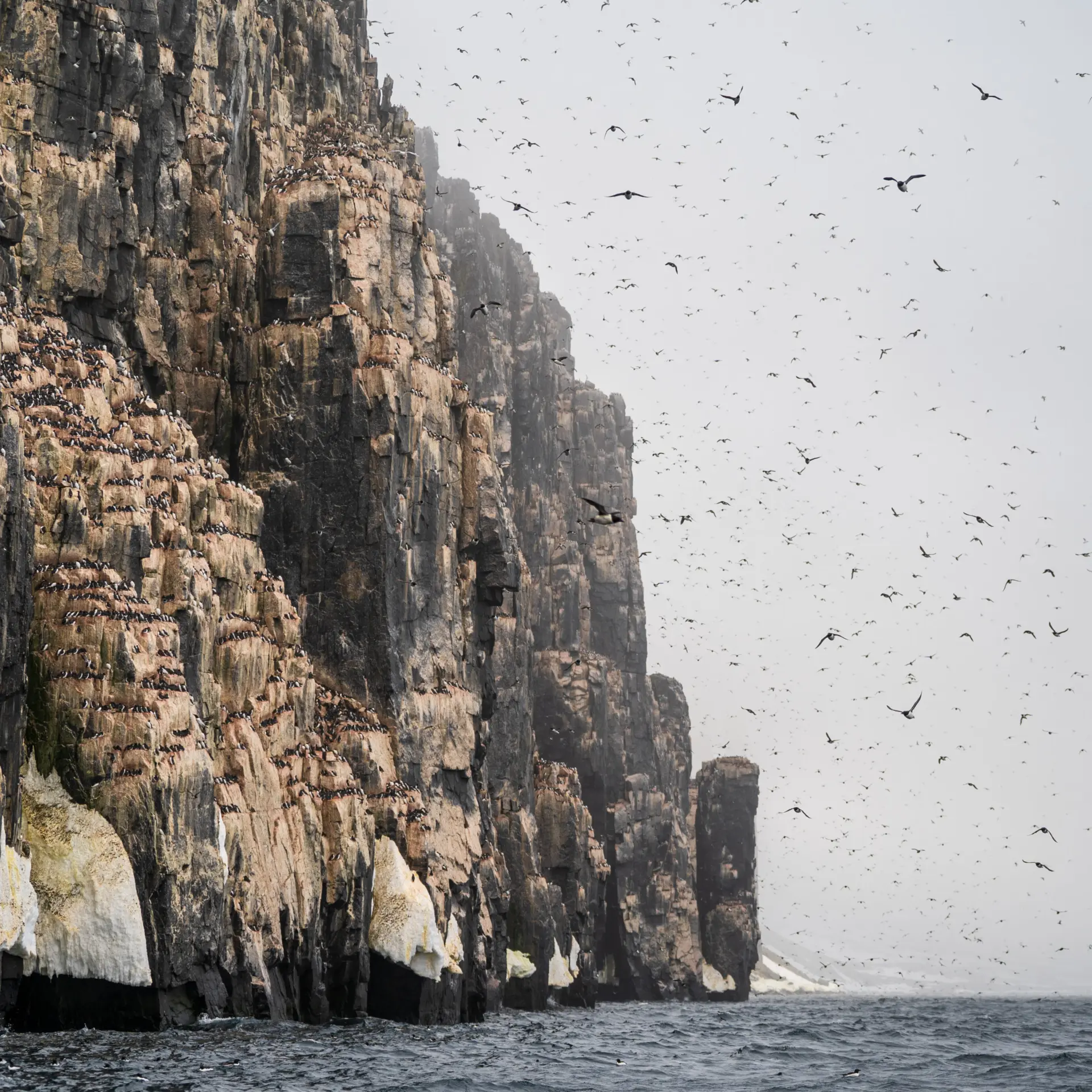 1776077000907no 2113ly280625alkefjellet studioponantyanislasbats