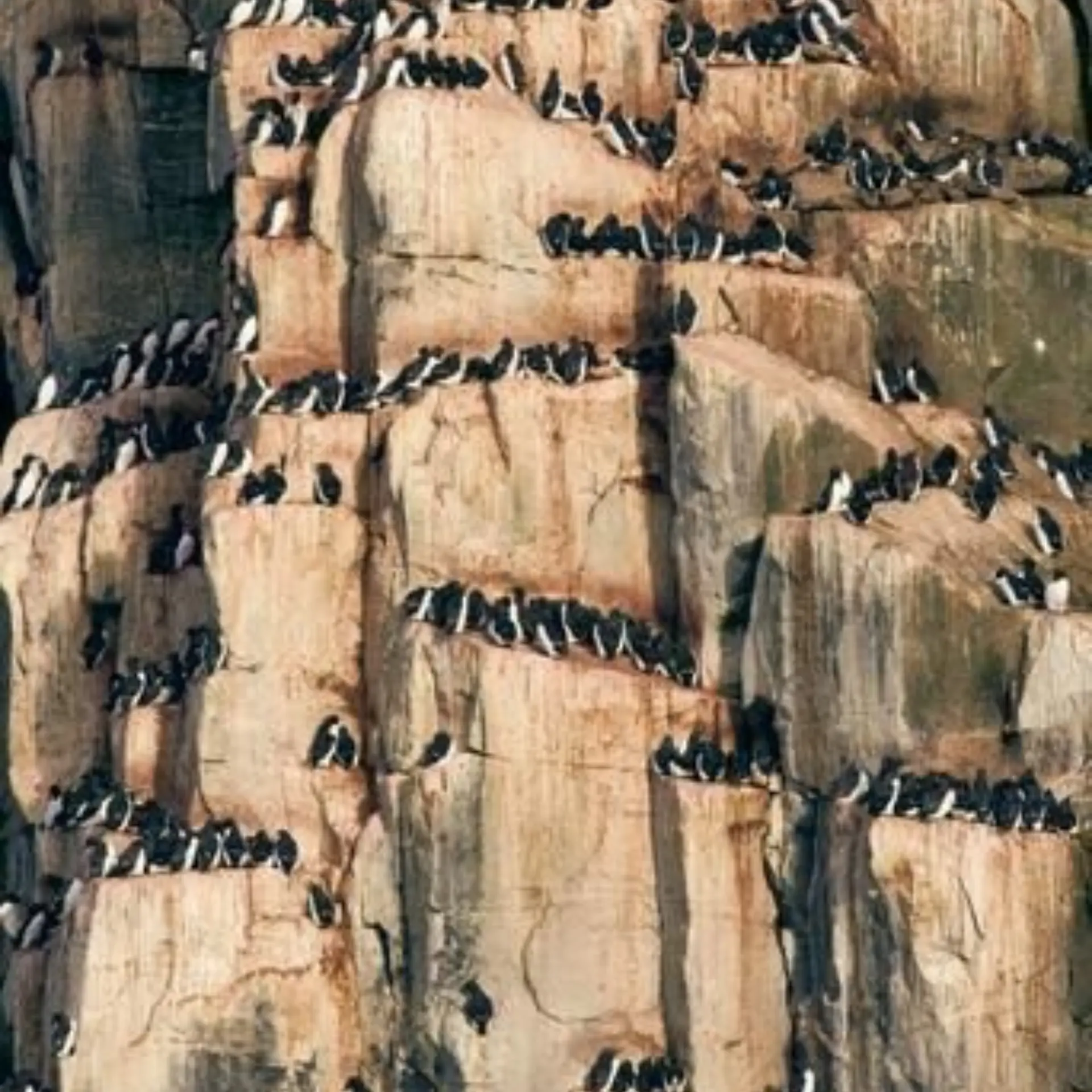 1776077761568himanshu saraf 6cyzuhxdy9s unsplash