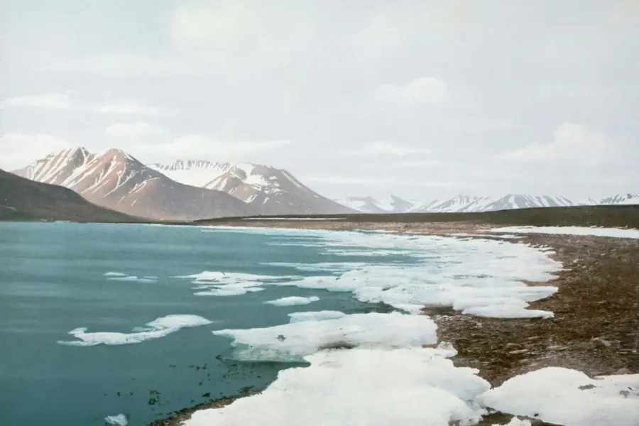 The national library of norway x R Nczzmt13 E unsplash