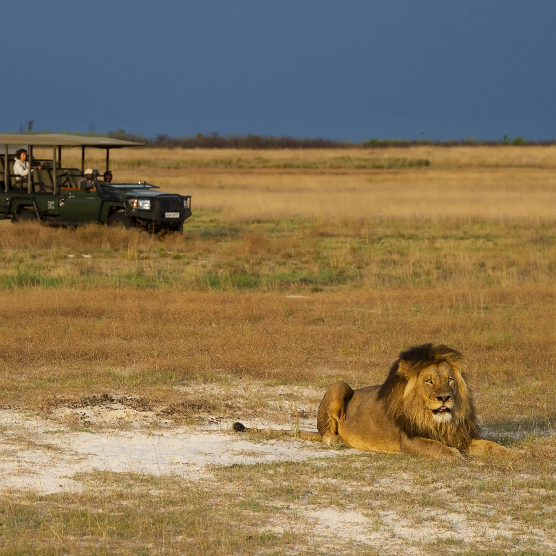 Biodiversity Conservation in Liuwa National Park Zambia Ariadne Van Zandbergen 67