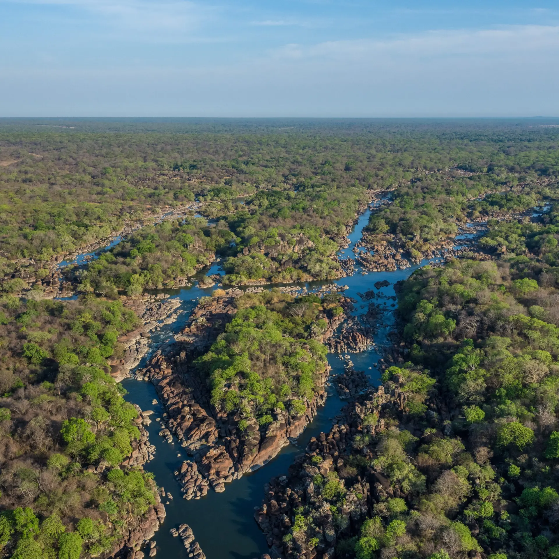 Biodiversity Conservation in Kafue National Park Zambia Marcus Westberg 3 8