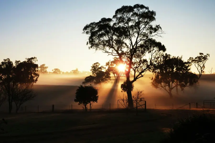 Elsa guyader q8qfawnohrm unsplash