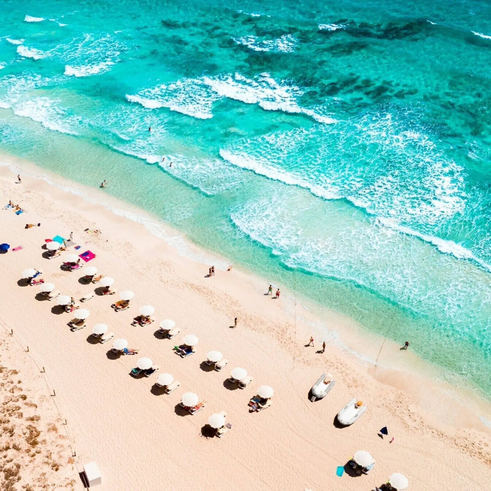 Karol chomka j8pmotvvw50 unsplash