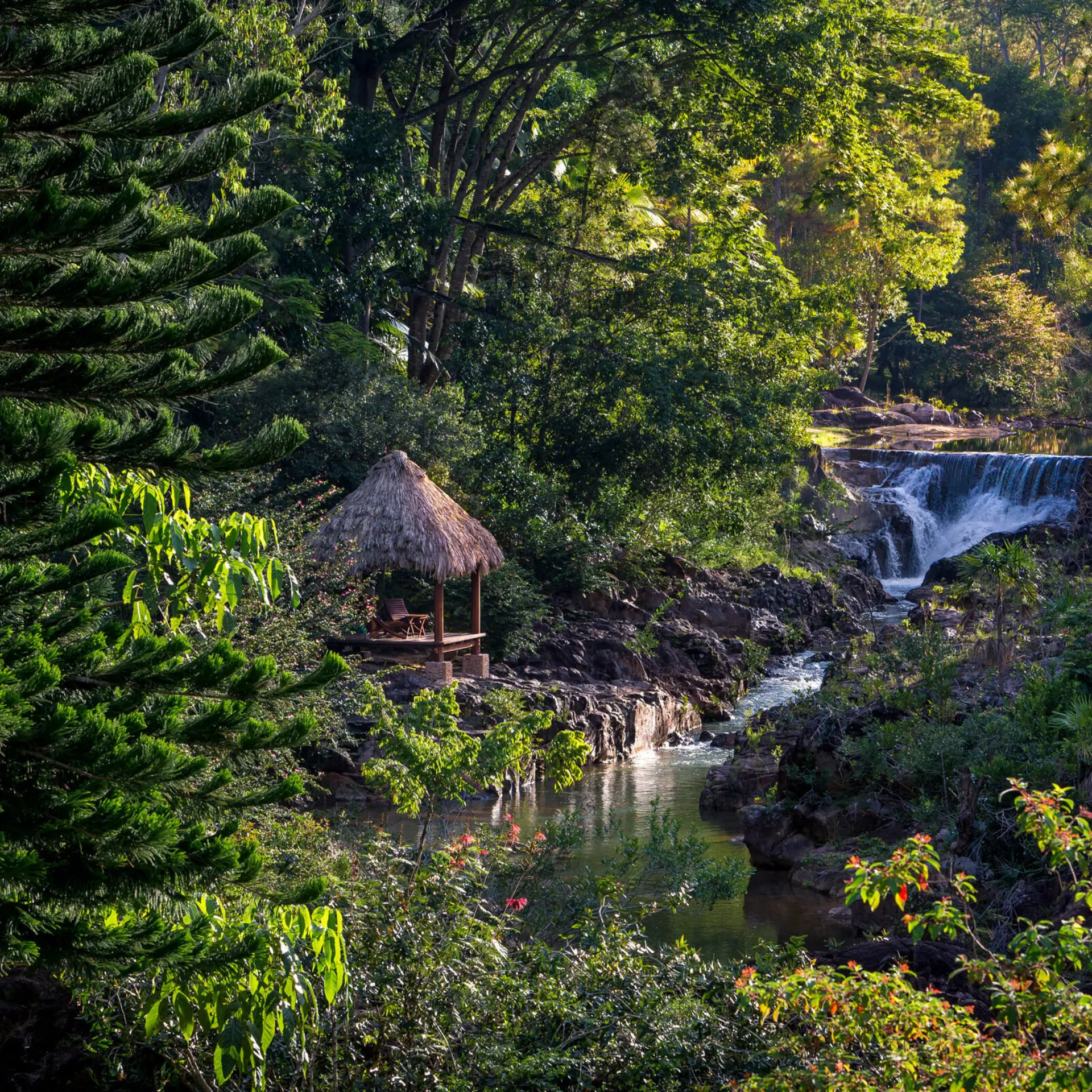 Bl 10 2014 7773 oct1