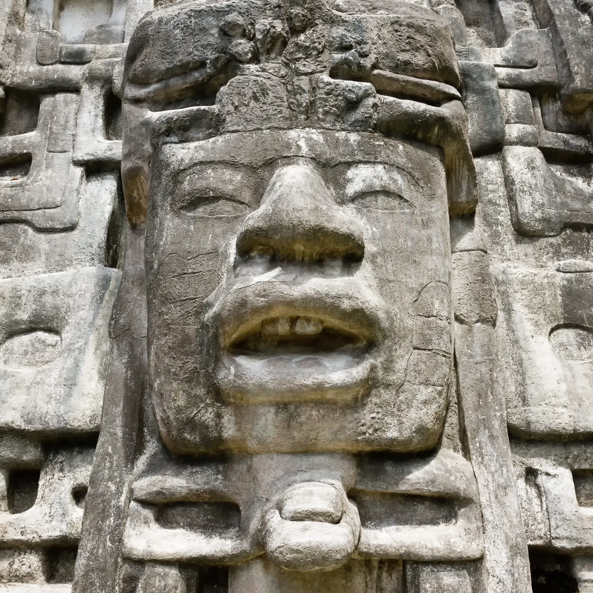 Tempel maya gezicht bos belize