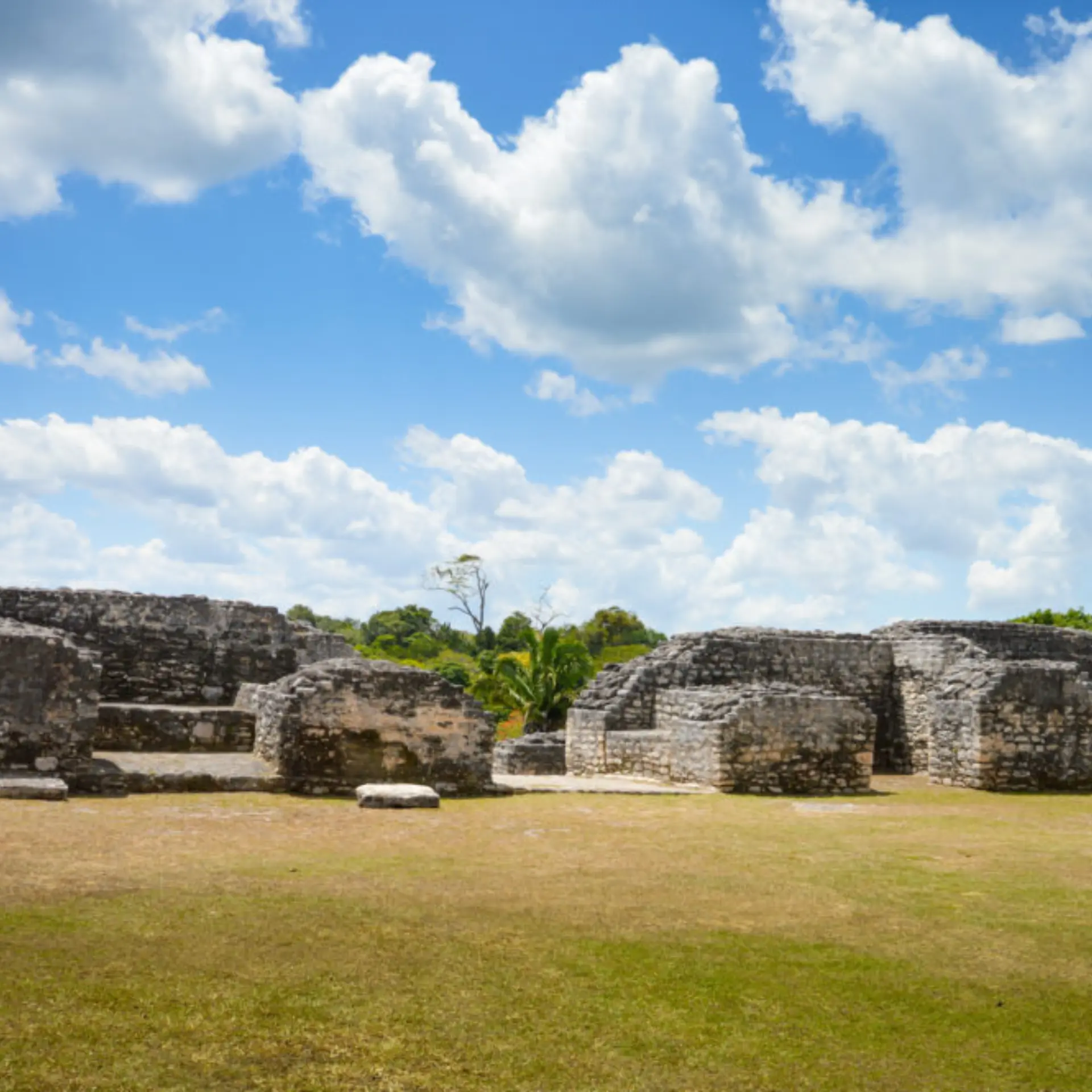 1761130233400bigstock caracol archeological site of 99450464 1000x665