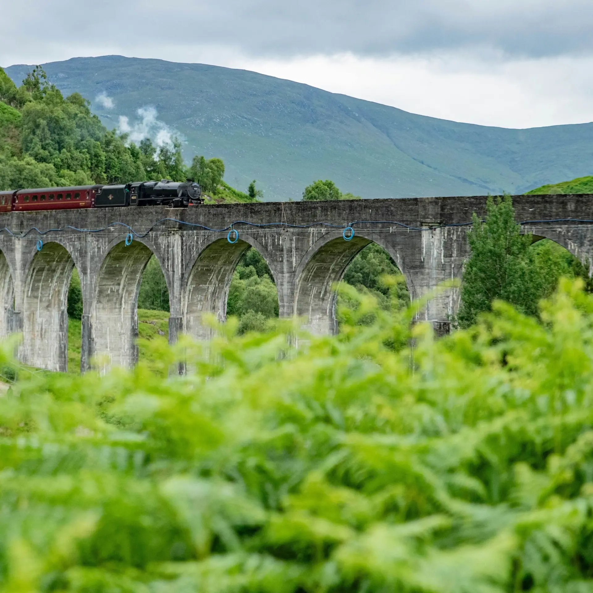 1769427749578sean ferigan igop6veqmjg unsplash