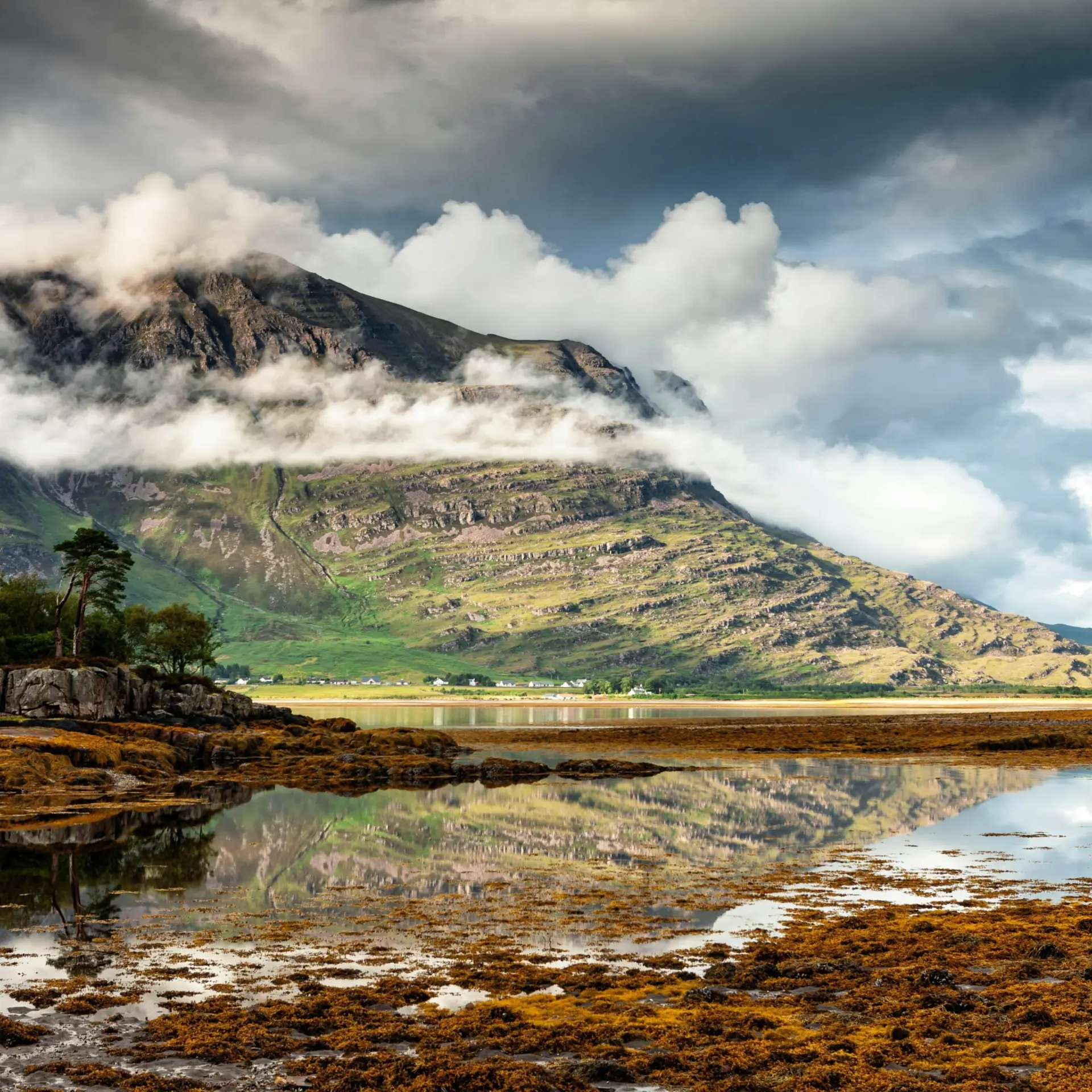 Martin bennie t5pl9e6lu unsplash