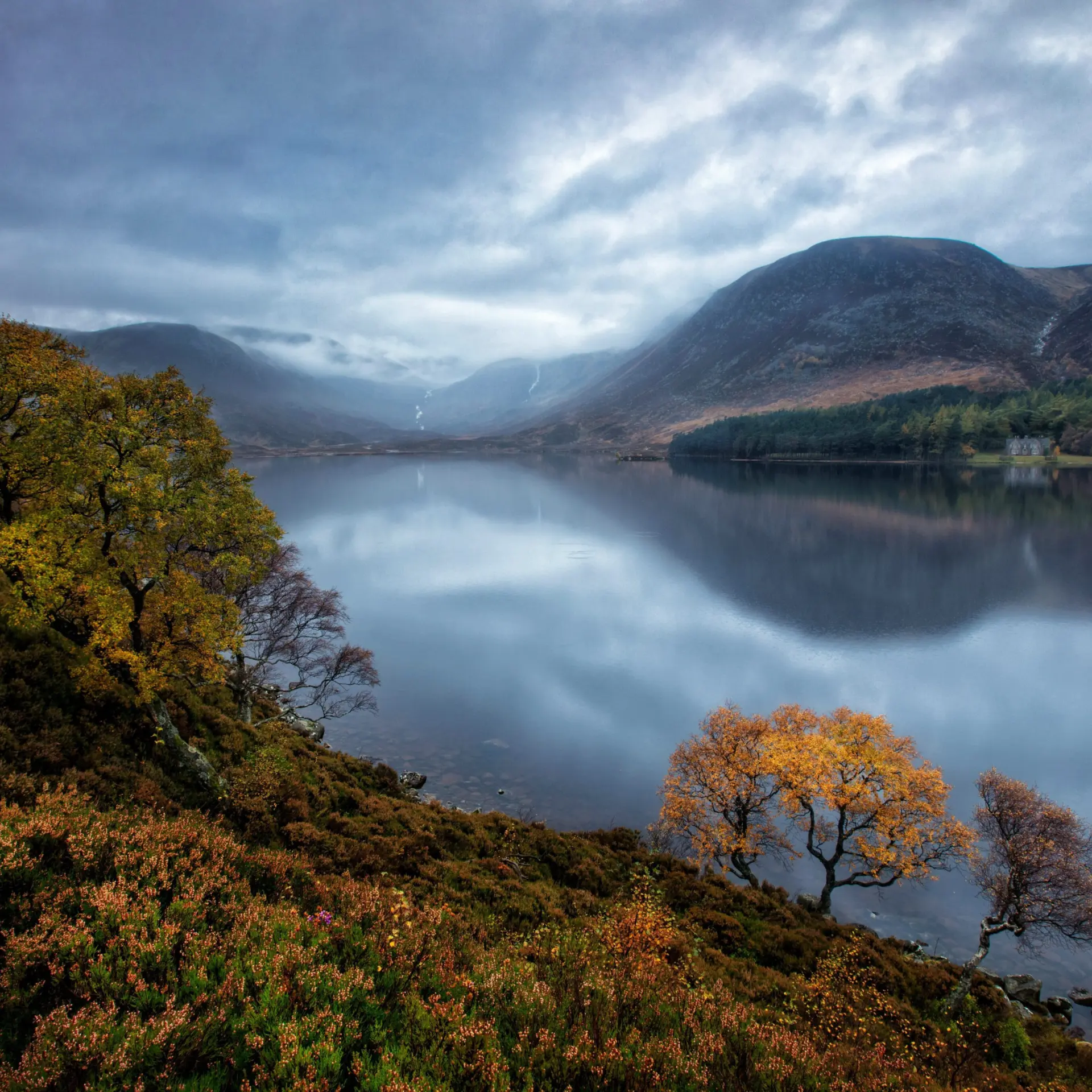 Martin bennie svd6kn4hy unsplash