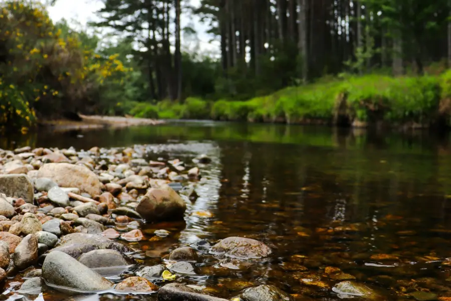 Imogen carr lz4tkx5di1o unsplash