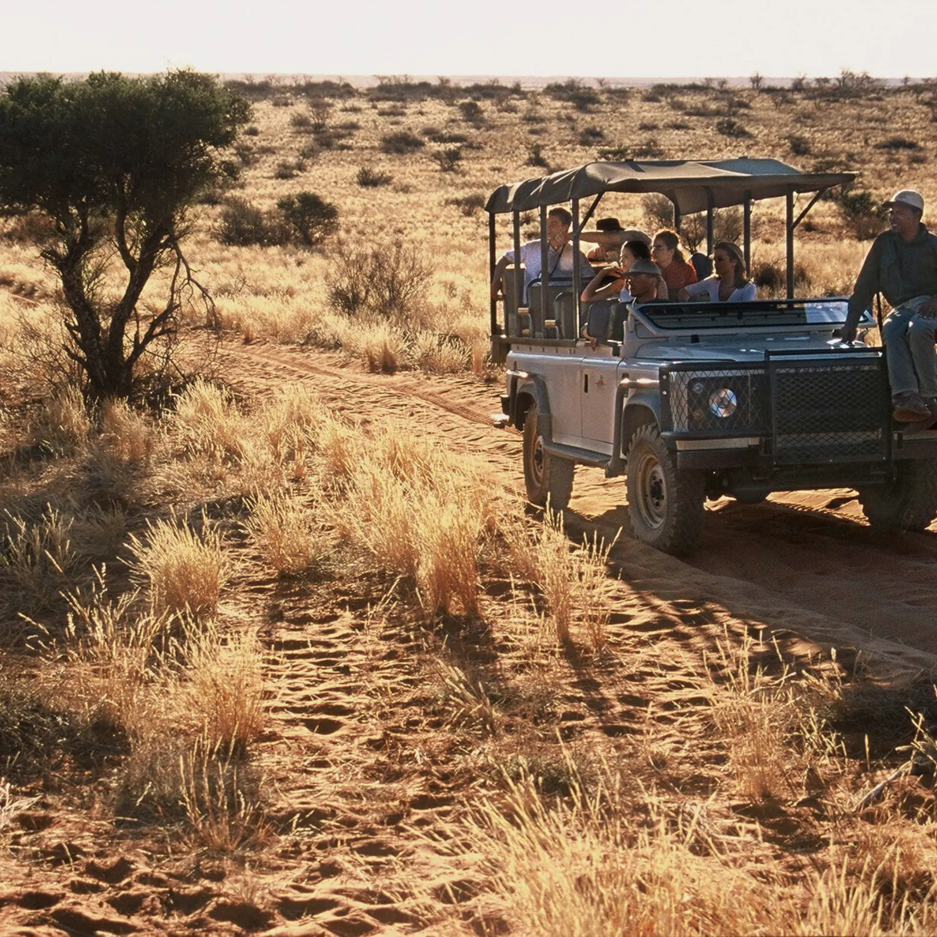 Private game drive