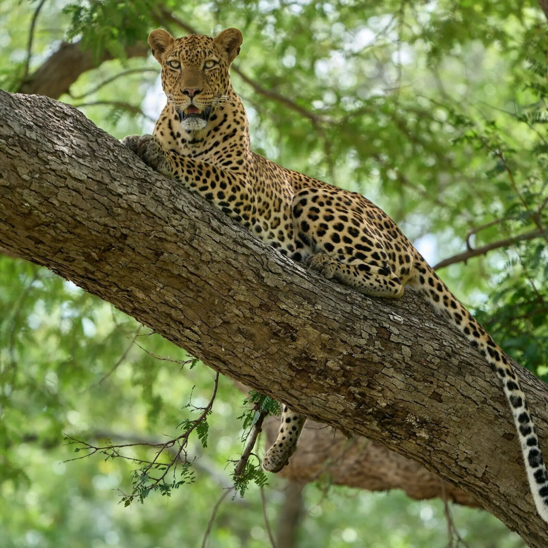 Dmitrii zhodzishskii x oi9 GS Ky E unsplash